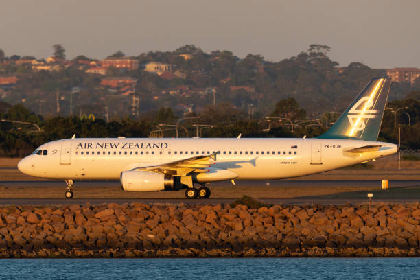 Air new zealand entertainment